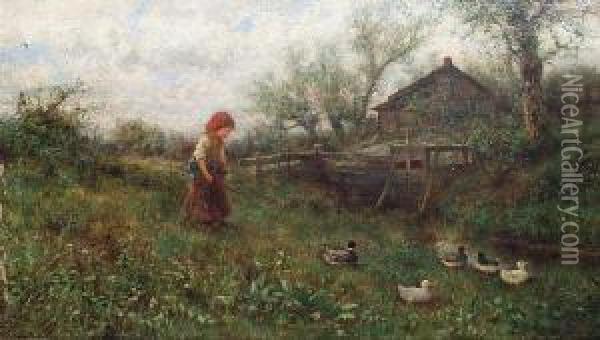 A Young Girl With Ducks Beside A Stream Oil Painting - James Crawford Thom