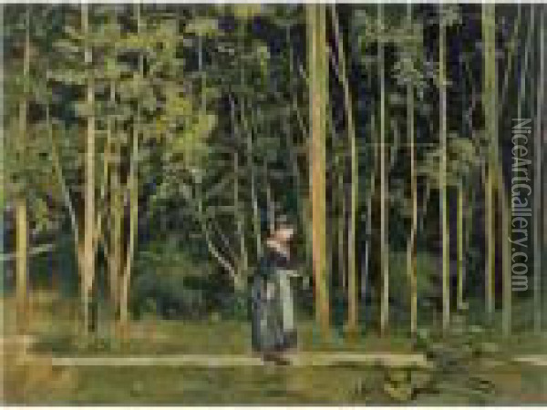 Walk Along The Border Of A Wood Oil Painting - Ferdinand Hodler