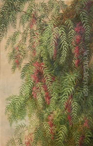 Pepper Tree Branches In Bloom Oil Painting - Ellen Francis Burpee Farr