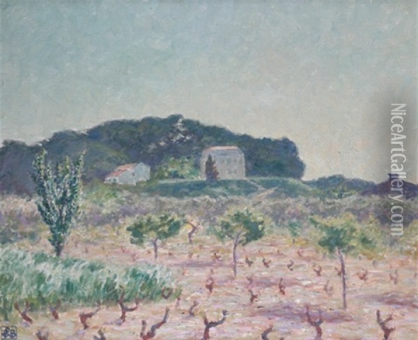 Vineyard, South Of France Oil Painting - Rupert Bunny