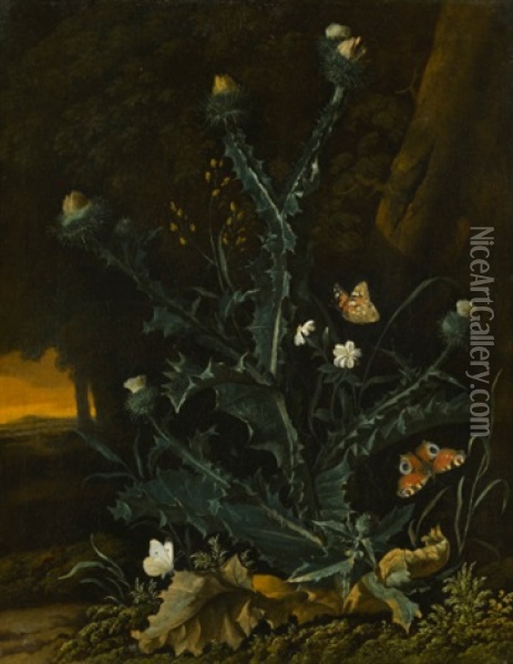 Forest Floor Still Life, With A Thistle Oil Painting - Abraham Jansz. Begeyn