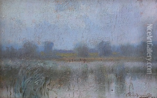Paysage Au Lac Oil Painting - Marceli Harasimowicz