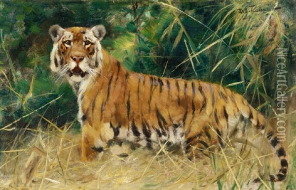 Tiger Oil Painting - Wilhelm Friedrich Kuhnert