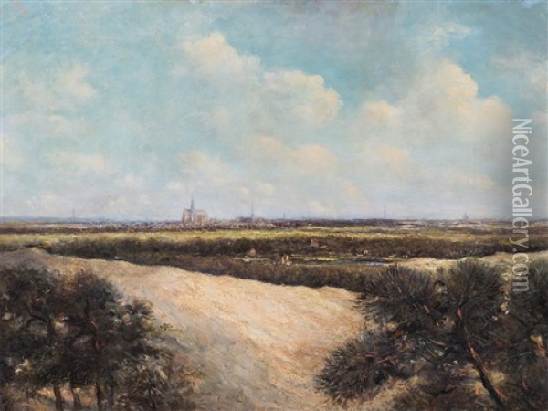 View On Haarlem Oil Painting - Anthony Andreas de Meyer