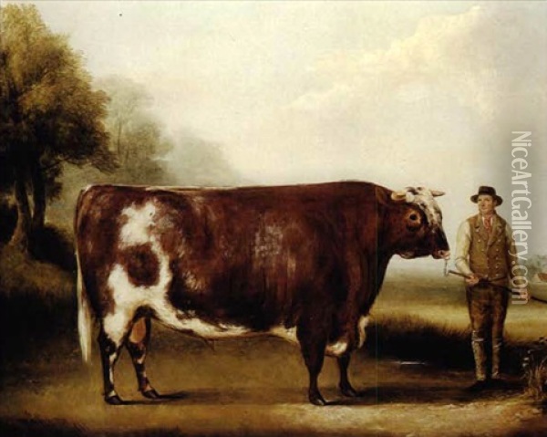 A Dark Roan Bull Oil Painting - William Henry Davis