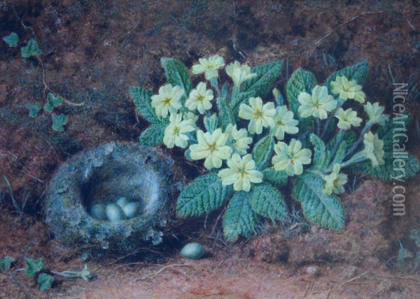 Still Life Of A Bird's Nest And Primroses Against A Mossybank Oil Painting - William B. Hough
