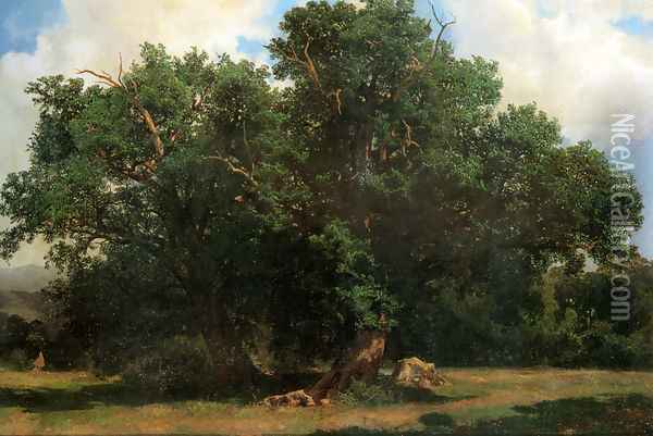 Oak Trees Oil Painting - Alexandre Calame