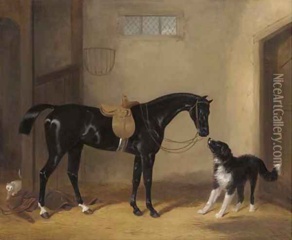 Portrait of a saddle black hunter with a sheep dog in a stable Oil Painting - William Barraud