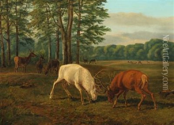 Landscape With Two Deer In Battle Oil Painting - Andreas Peter Madsen