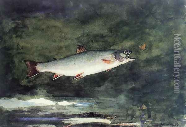 Leaping Trout II Oil Painting - Winslow Homer