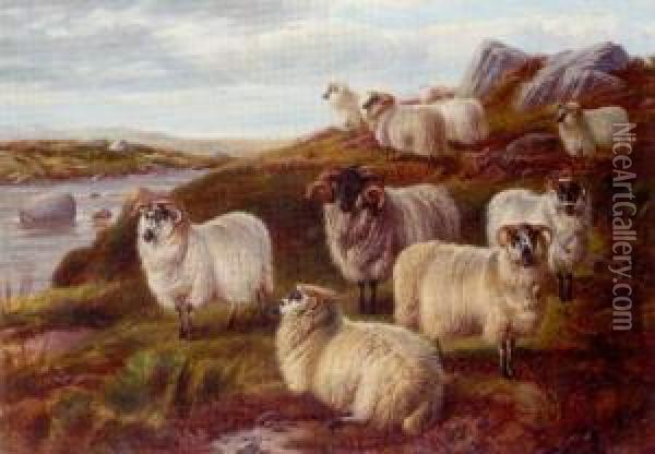 Sheep On Moorland Beside A River Oil Painting - Charles Jones