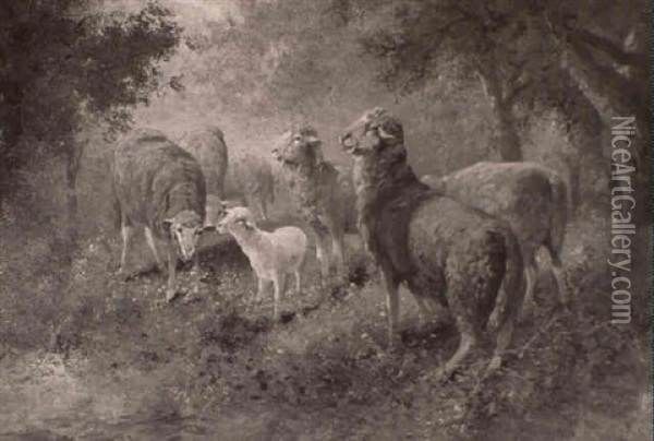 Sheep In A Forest Oil Painting - Louise J. Guyot