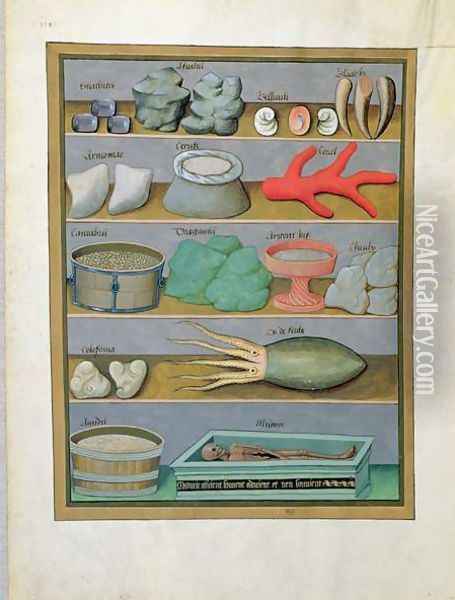 Illustration from the Book of Simple Medicines by Mattheaus Platearius d.c.1161 c.1470 15 Oil Painting - Robinet Testard