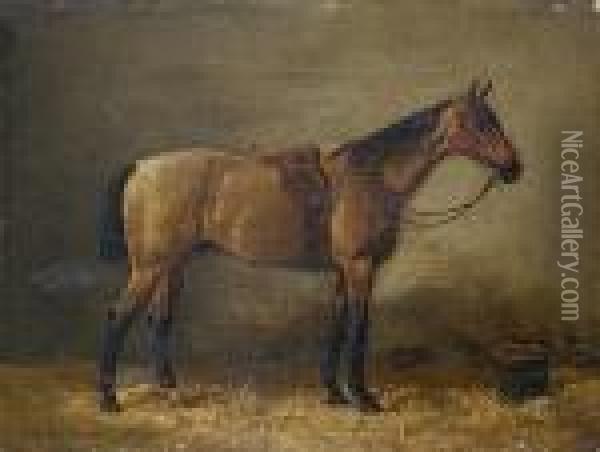 Gesatteltes Braunes Pferd Oil Painting - Emil Volkers