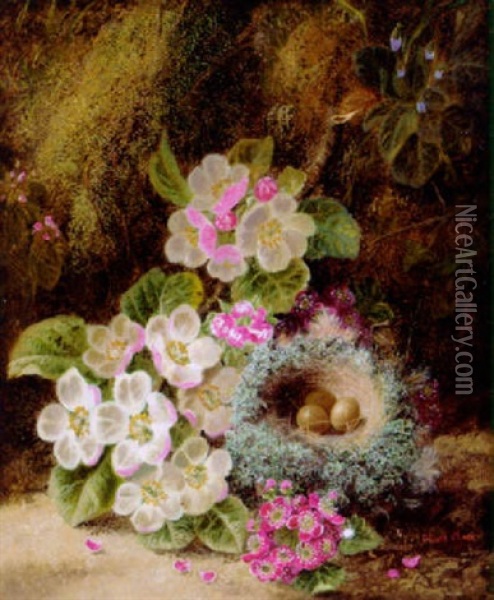 Primulas, Apple Blossom And A Bird's Nest On A Mossy Bank Oil Painting - Oliver Clare