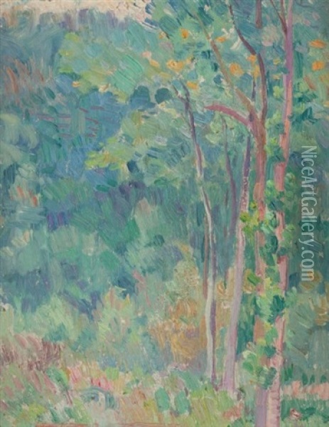 Bouleaux En Sous-bois Oil Painting - Hippolyte Petitjean