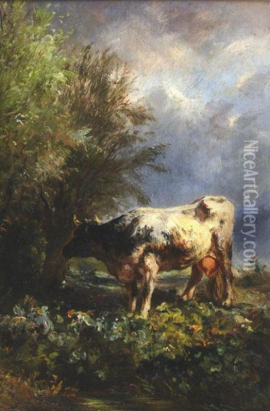 Cow In Landscape Oil Painting - Albert Jurardus van Prooijen