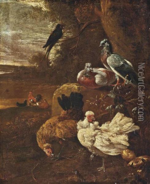 Hens, Pigeons And Other Birds In A Wooded Clearing Oil Painting - Melchior de Hondecoeter