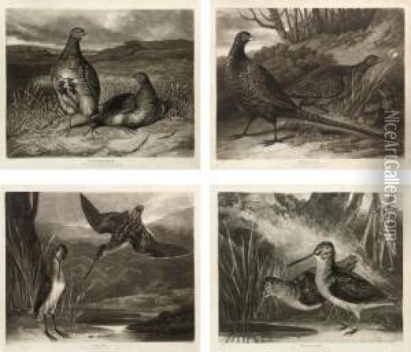 British Feather Game: Pl.1 Partridges; Pl.2 Pheasants; Pl.3 Snipes; And Pl.4 Woodcocks Oil Painting - Joseph Mallord William Turner