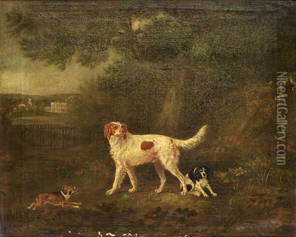 A Red And White Setter With 
Other Dogs In A Landscape, With A View Of Staunton Harold In The 
Distance Oil Painting - John Snr Ferneley