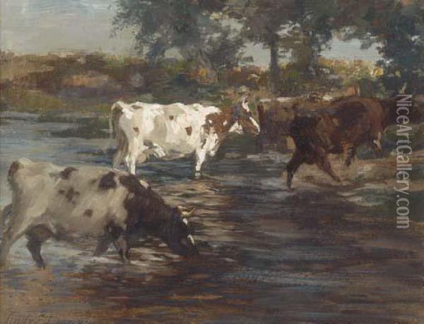 Cattle Fording A River Oil Painting - Andrew Douglas