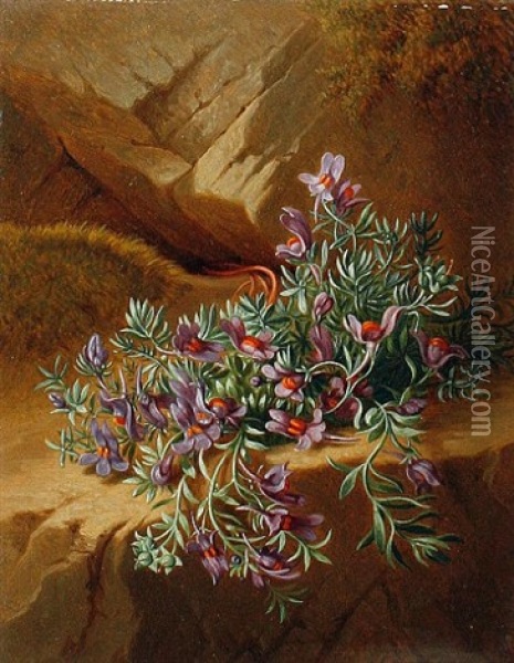 Alpine Flowers (+ Alpine Flowers; Pair) Oil Painting - Josef Schuster