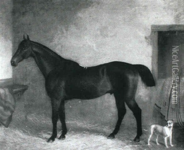 Dark Bay Hunter With A Terrier In A Loose Box Oil Painting - John Paul