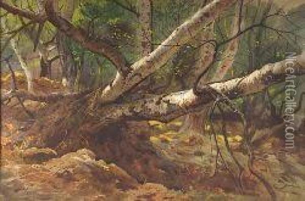 Fallen Trees Oil Painting - Archibald Thorburn