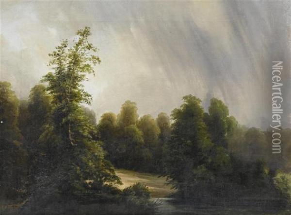 Forest Landscape Near A River. Oil Painting - Otto Frolicher