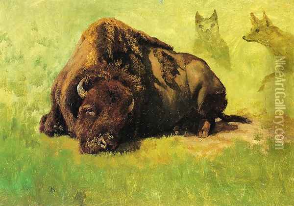 Bison with Coyotes in the Background Oil Painting - Albert Bierstadt