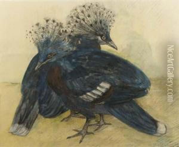 Two Crown Pigeons Oil Painting - Theodorus Van Hoytema