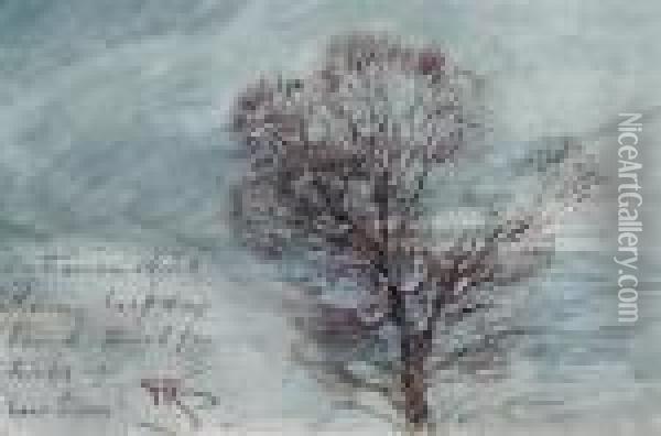 Study Of A Tree Oil Painting - Henry John Sylvester Stannard