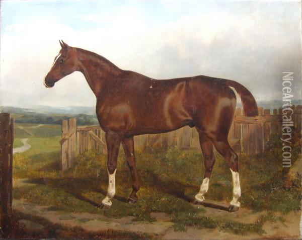 Portrait Of A Chestnut Hunter In Landscape Oil Painting - Sawrey Gilpin