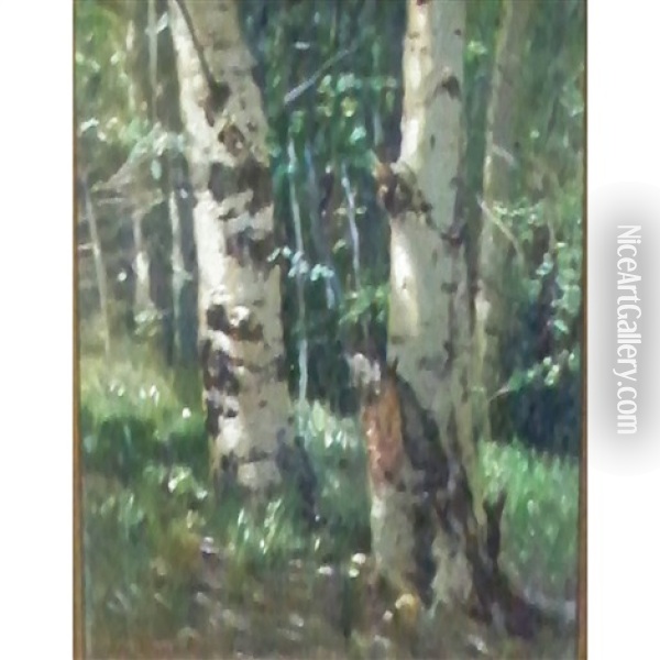 Birch Trees Oil Painting - Charles Partridge Adams