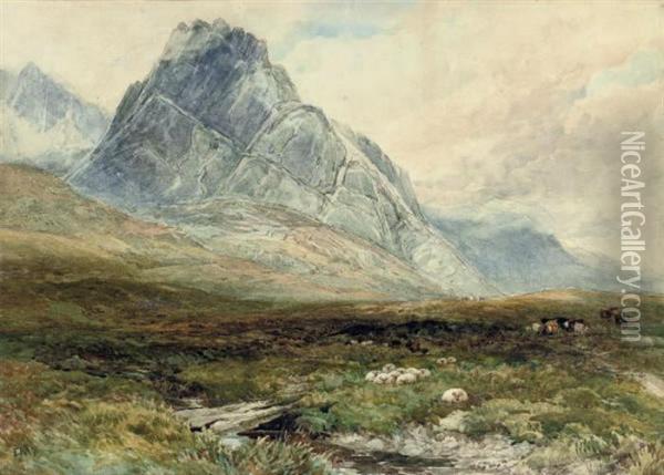 Sheep And Cattle At Llys Tryffan Oil Painting - Edmund Morison Wimperis