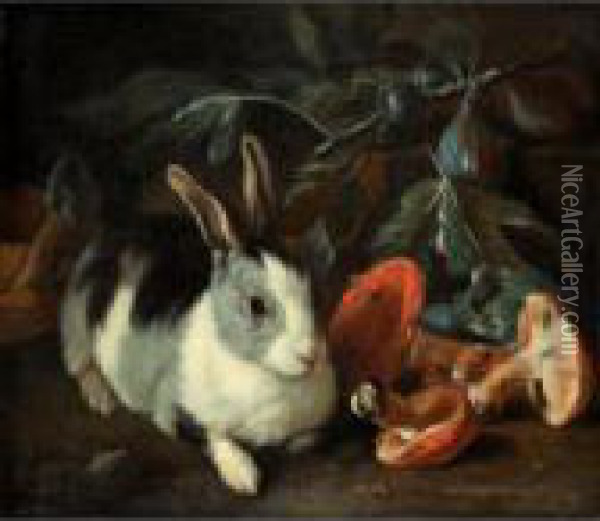 A Forest Floor With A Rabbit And Mushrooms Oil Painting - Frans Werner Von Tamm