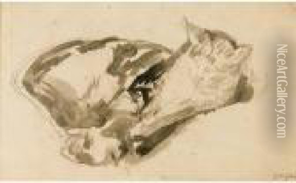 Tortoise-shell Cat Stretching Oil Painting - Gwendolen John