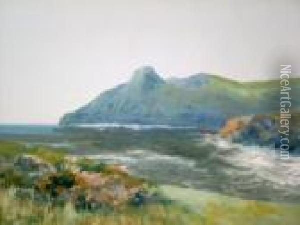 Coastal Landscape Oil Painting - Daniel Sherrin