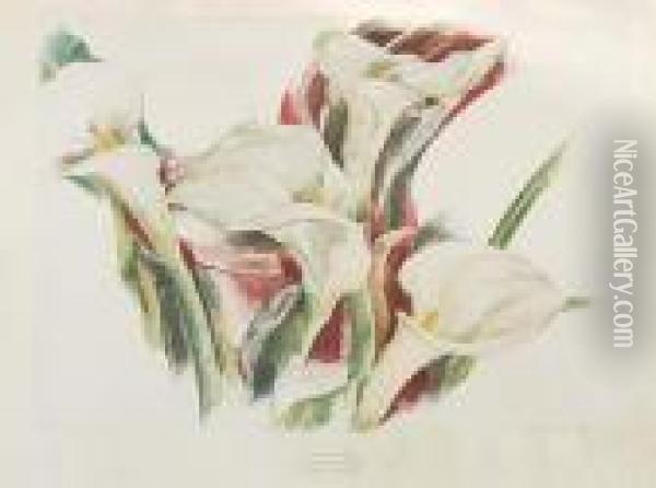 Calla Lilies Oil Painting - Charles Demuth