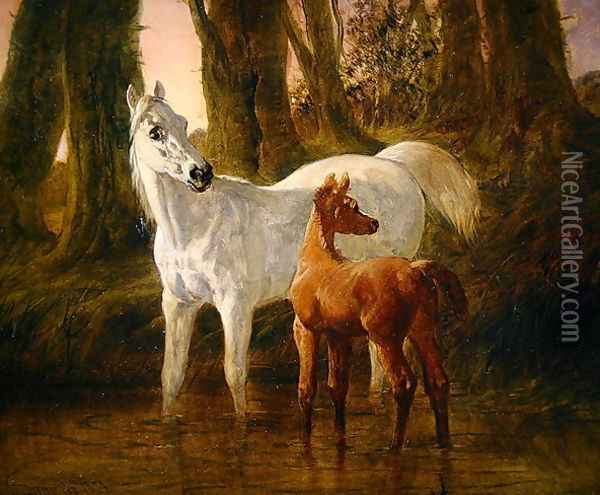 Mare and Foal startled while watering in a Stream, 1854 Oil Painting - John Frederick Herring Snr