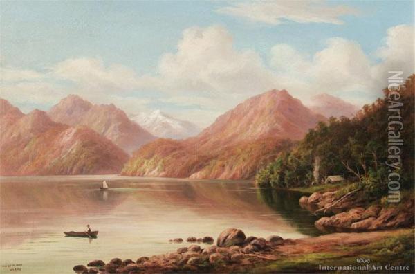 Head Of Lake Te Anau Oil Painting - William George Baker