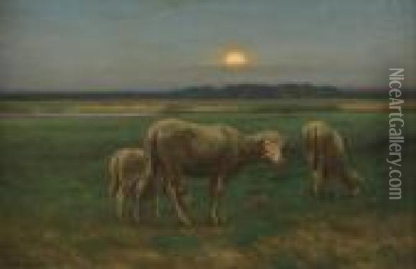 Sheep Oil Painting - John Carleton Wiggins