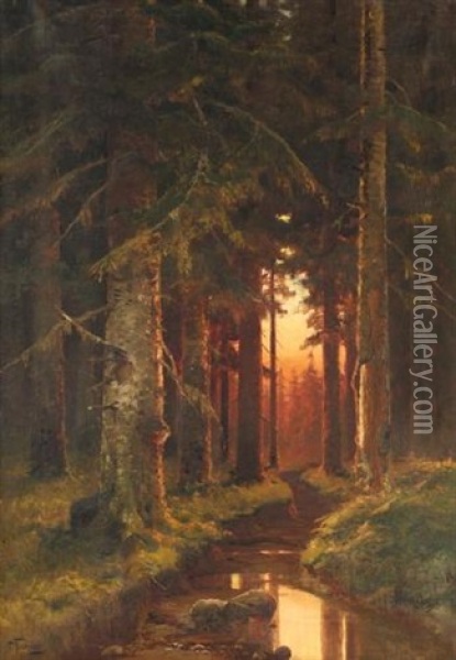 Woodland Sunrise Oil Painting - Semyon Sergeievich Platonov