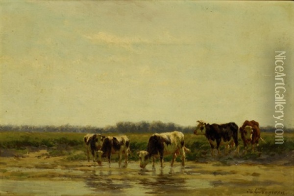 Cows By The Water's Edge Oil Painting - Herman Bogman I