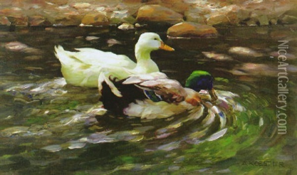 Entenpaar In Einem Teich Oil Painting - Alexander Max Koester