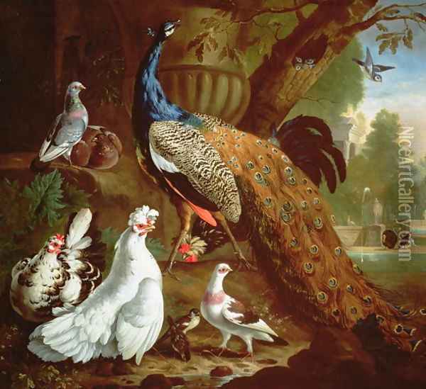 A Peacock in a Classical Landscape, 1719 Oil Painting - Pieter Casteels