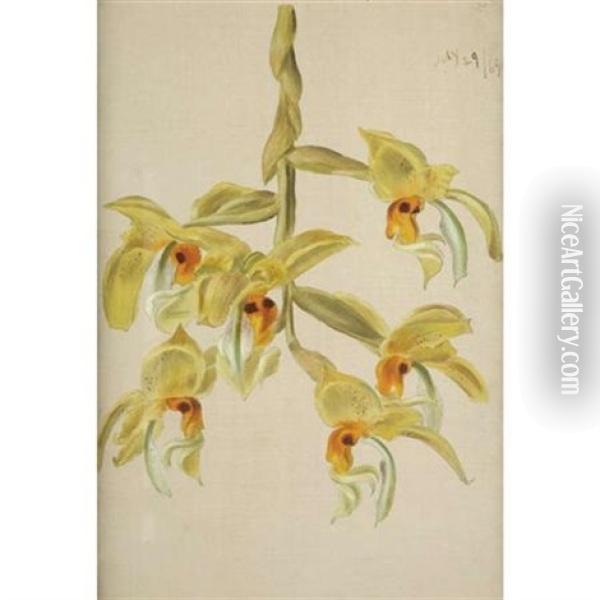 Branch Of Six Yellow Orchids Oil Painting - William Jacob Hays the Elder