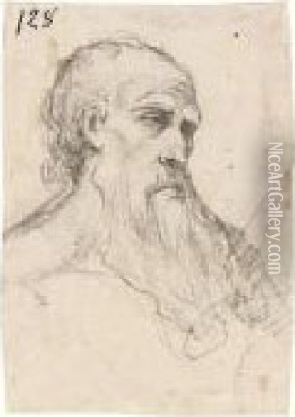 Head Of A Bearded Man Oil Painting - Giuseppe Cesari