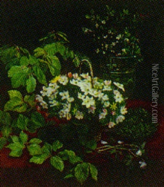 Opstilling Med Anemoner Og Bogegrene Oil Painting - Ingeborg Marie Bang