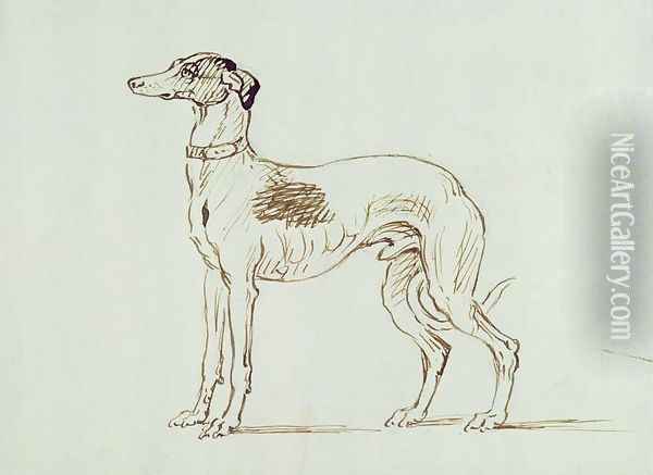 A Greyhound, Facing Left Oil Painting - James Seymour